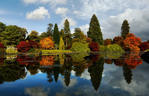 Lá cây chuyển màu khi Thu sang, phản chiếu xuống mặt hồ ở công viên Sheffield Park Garden, Anh, 17/10/2012.